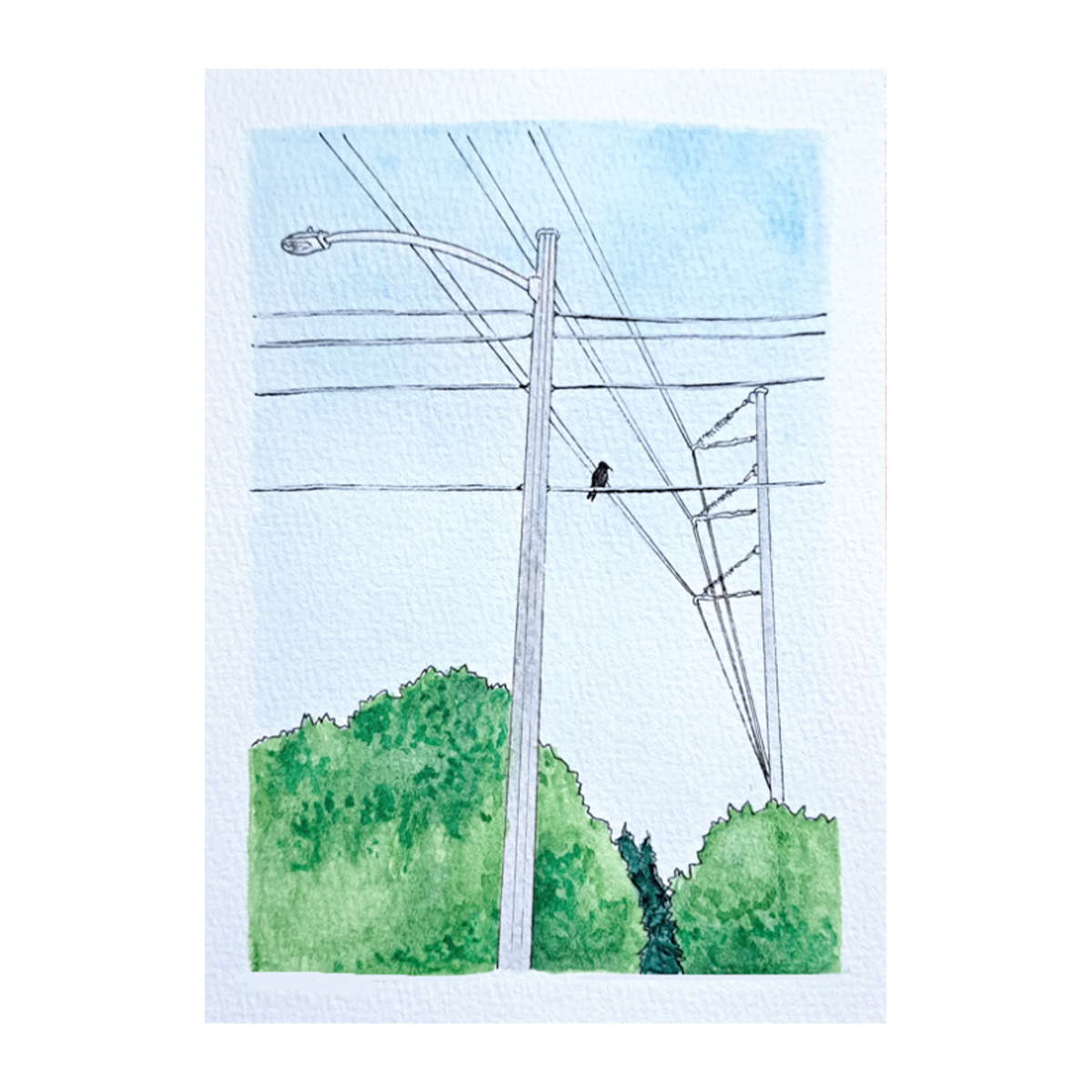Scanned photo of the "Bird and Many Wires" watercolor illustration, i has green trees n the background, 2 gray electrical poles, a black crow and a blue sky