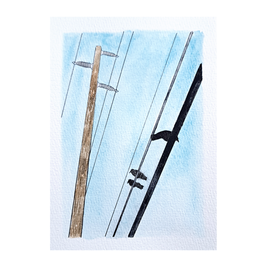 "Birds and Pole" Watercolor Illustration