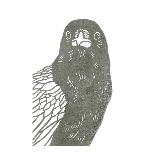 "Crow Staring"  Lino Print