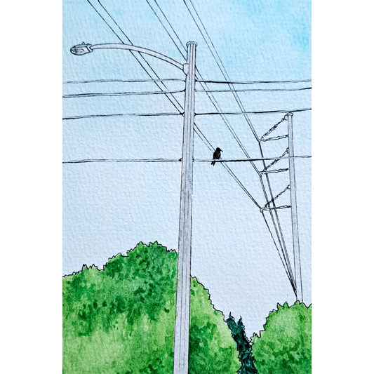 "Bird and Many Wires" Watercolor Illustration