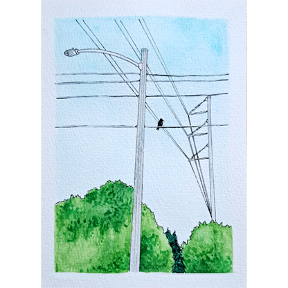 "Bird and Many Wires" Watercolor Illustration