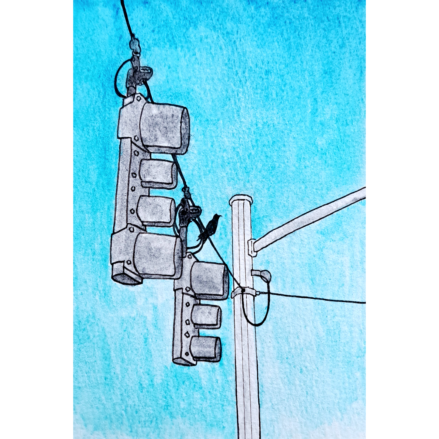 "Bird and Traffic Lights" Watercolor Illustration