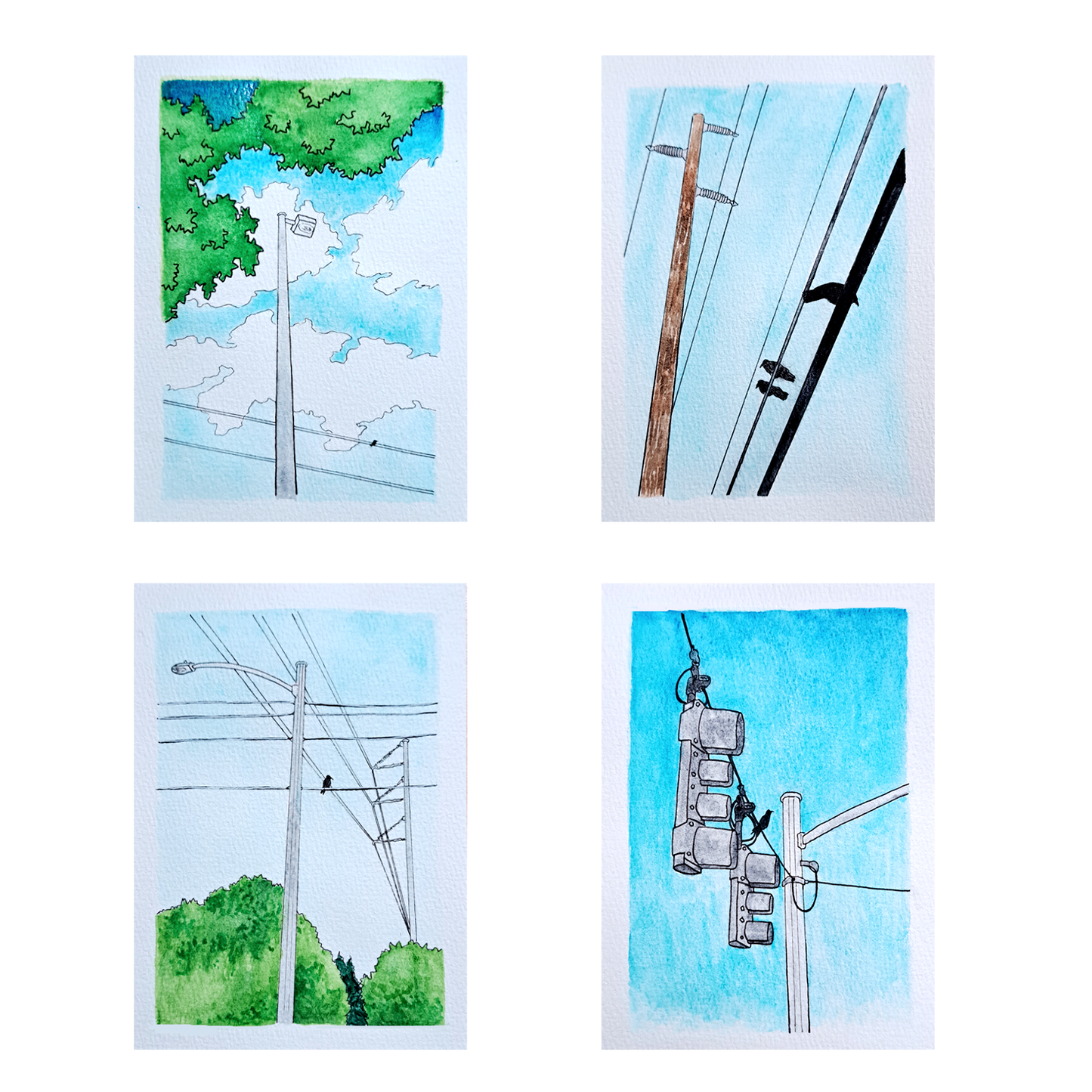 "Birds on Wire" Complete Set - Watercolor Illustrations