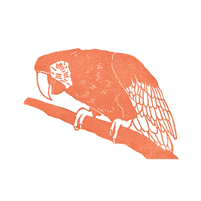 "Macaw Leaning" Lino Print