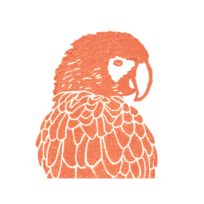 "Macaw Looking" Lino Print