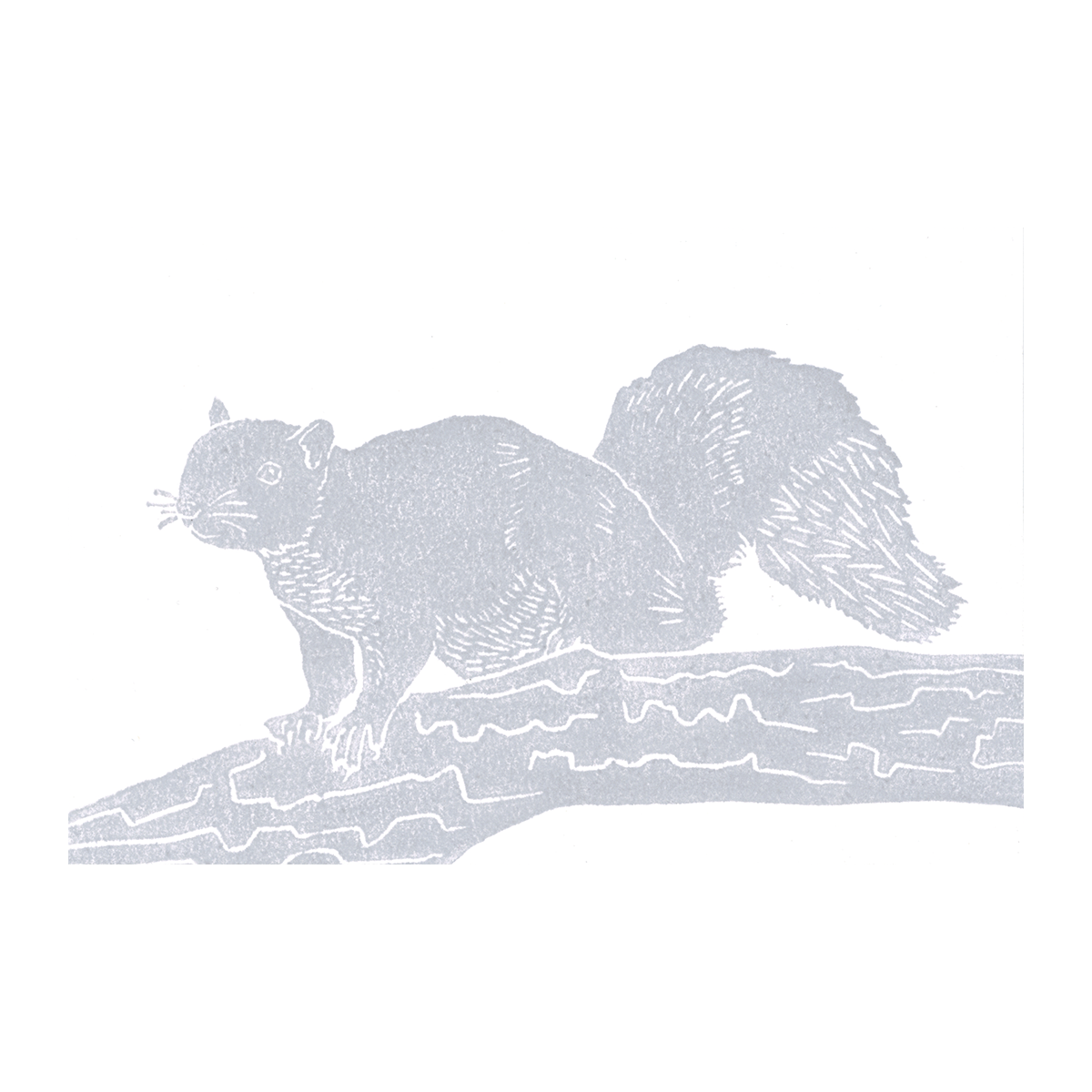 Scanned photo of the "Squirrel On Branch" lino print, it is stamped in gray ink