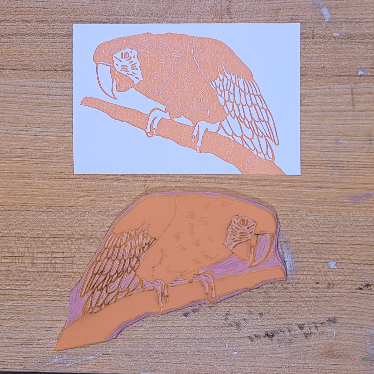 "Macaw Leaning" Lino Print