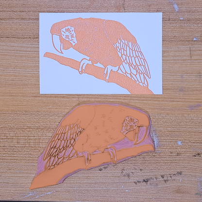 "Macaw Leaning" Lino Print