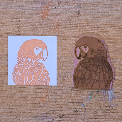 "Macaw Looking" Lino Print