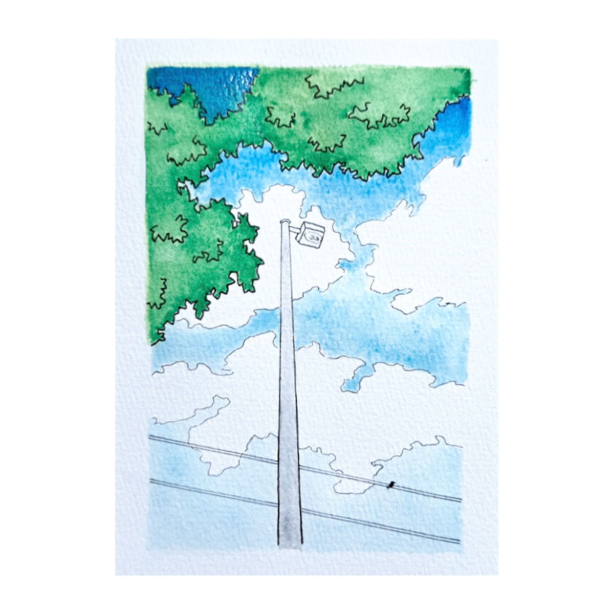 Scanned photo of the "Tiny Bird" watercolor illustration, it has green leaves in the foreground, a gray light pole, and a blue sky 